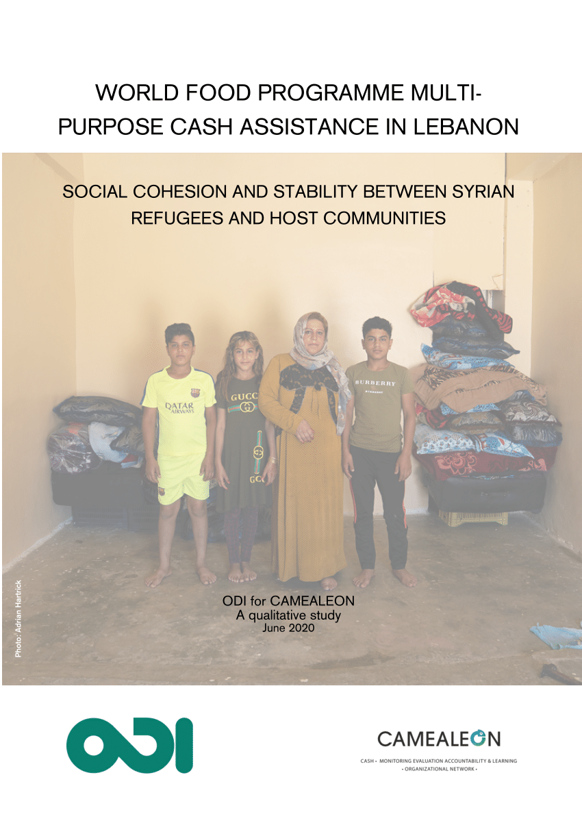 Pdf Cash Assistance To Syrian Refugees In Lebanon Promoting Social