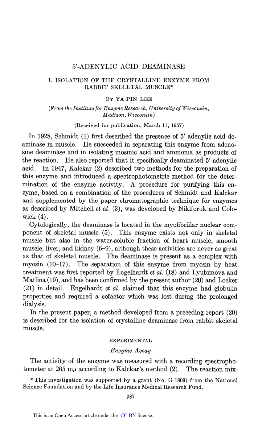 Pdf 5 Adenylic Acid Deaminase