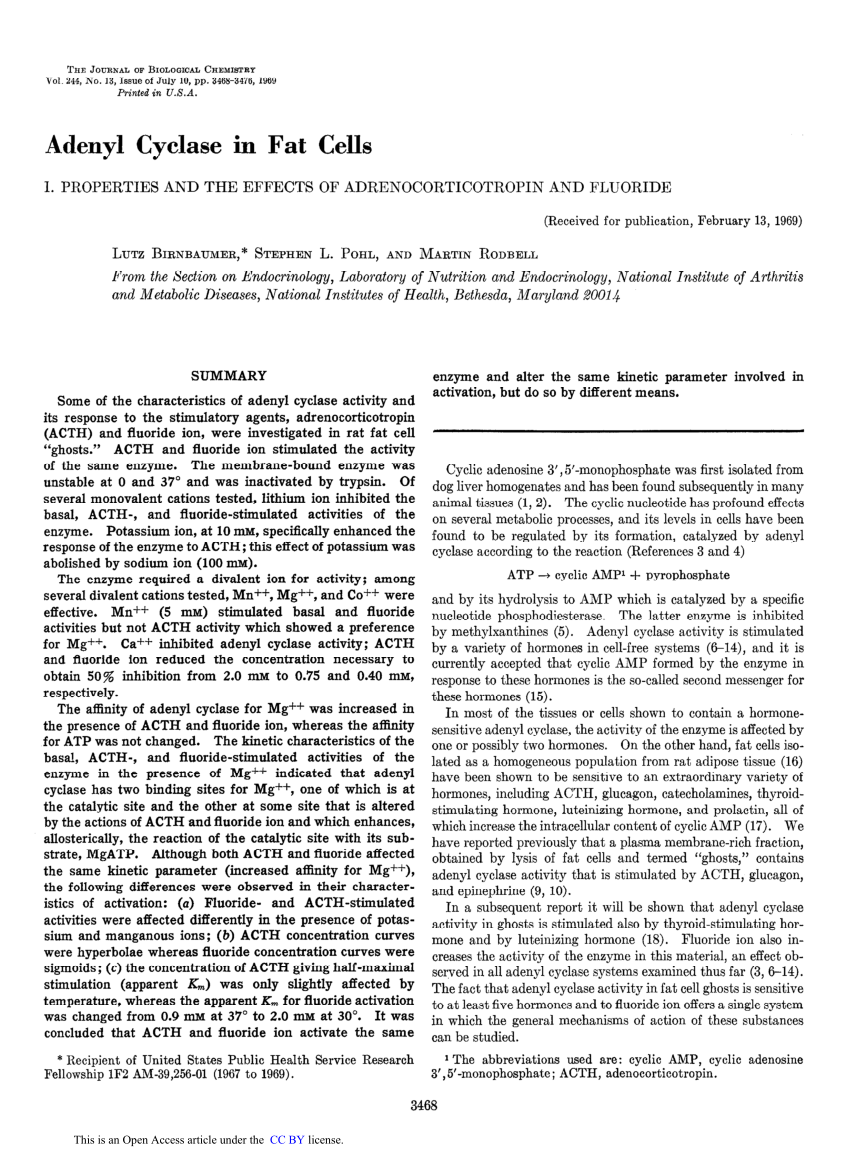 pdf-adenyl-cyclase-in-fat-cells