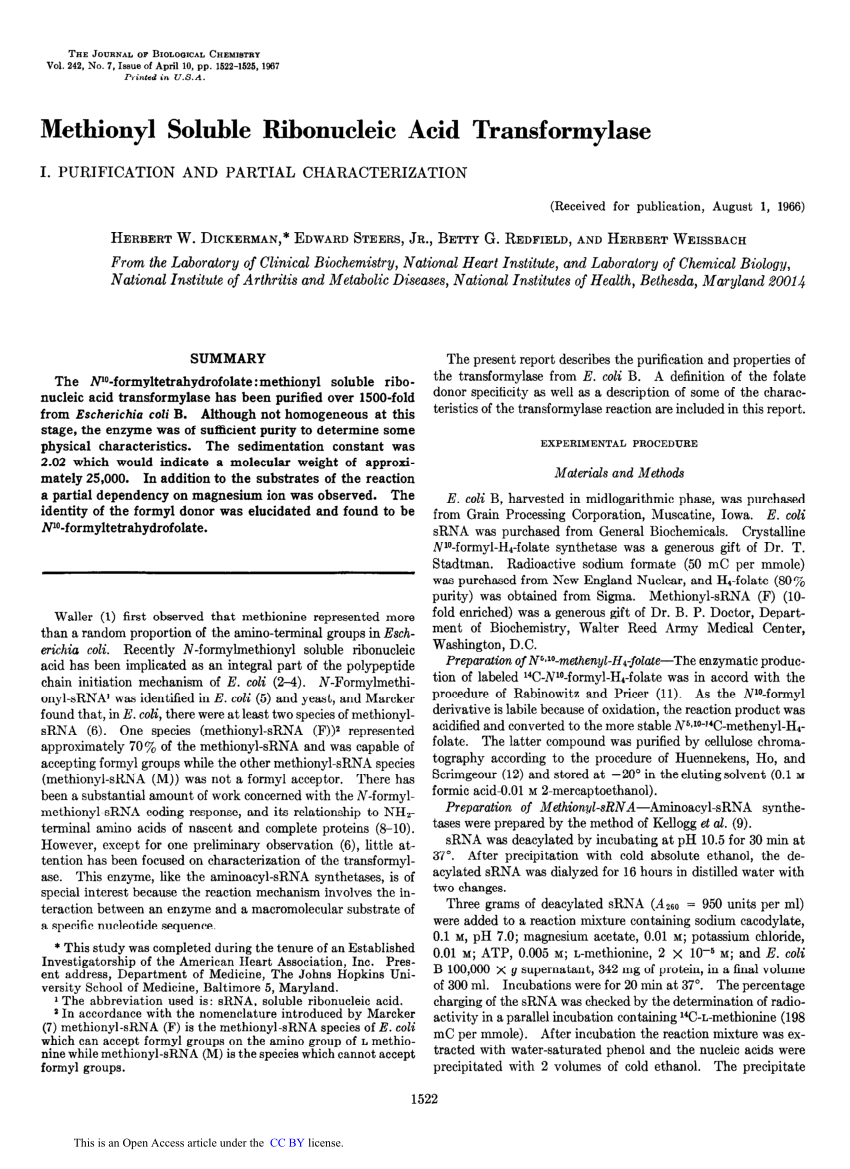 (PDF) Methionyl Soluble Ribonucleic Acid Transformylase
