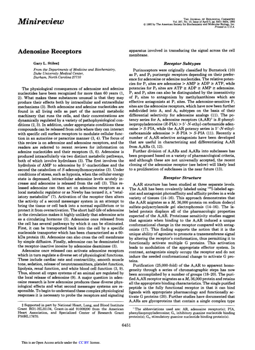 pdf-adenosine-receptors