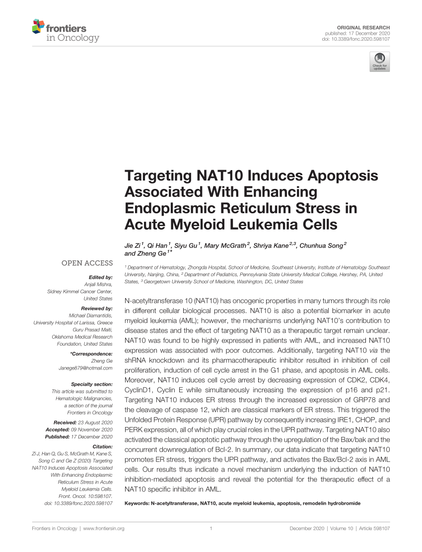 Pdf Targeting Nat10 Induces Apoptosis Associated With Enhancing Endoplasmic Reticulum Stress In Acute Myeloid Leukemia Cells