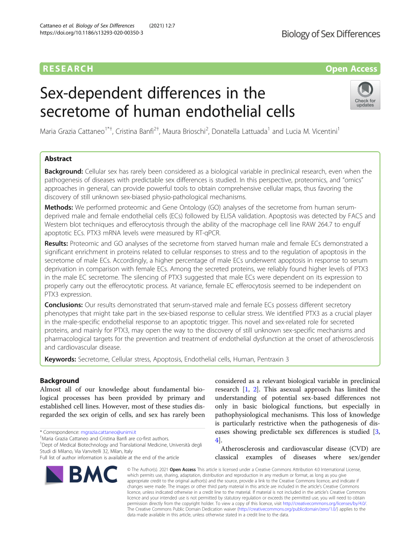 Pdf Sex Dependent Differences In The Secretome Of Human Endothelial Cells