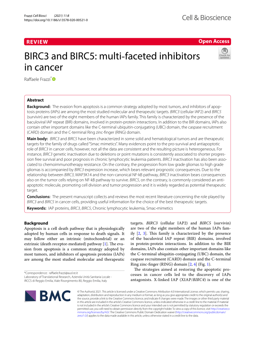 Pdf Birc3 And Birc5 Multi Faceted Inhibitors In Cancer