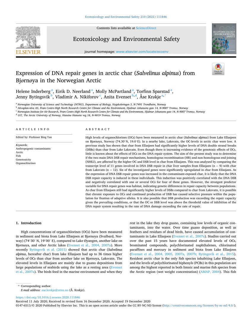 Pdf Expression Of Dna Repair Genes In Arctic Char Salvelinus Alpinus From Bjornoya In The Norwegian Arctic