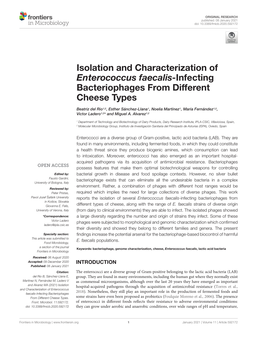 Pdf Isolation And Characterization Of Enterococcus Faecalis Infecting Bacteriophages From 