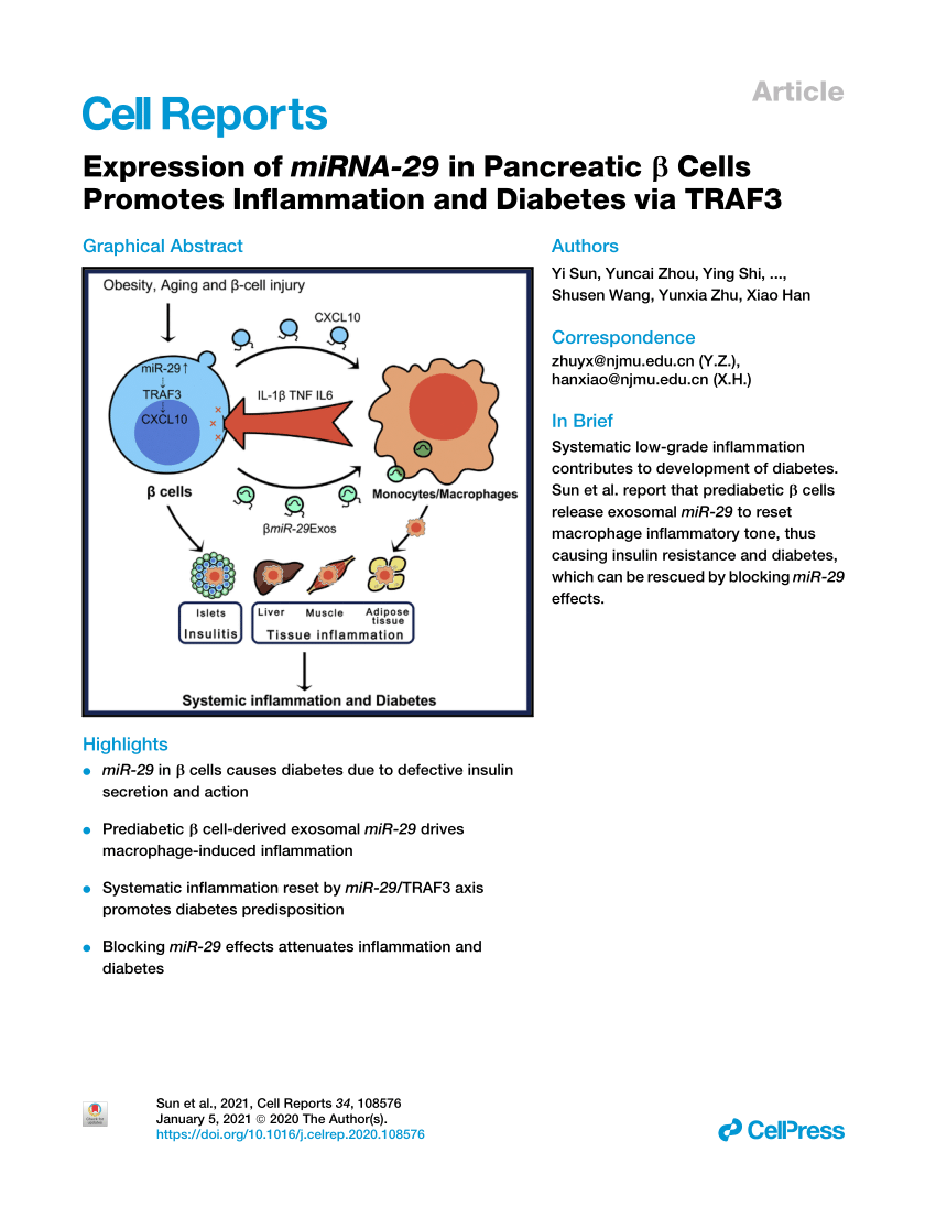 Pdf Expression Of Mirna 29 In Pancreatic B Cells Promotes Inflammation And Diabetes Via Traf3