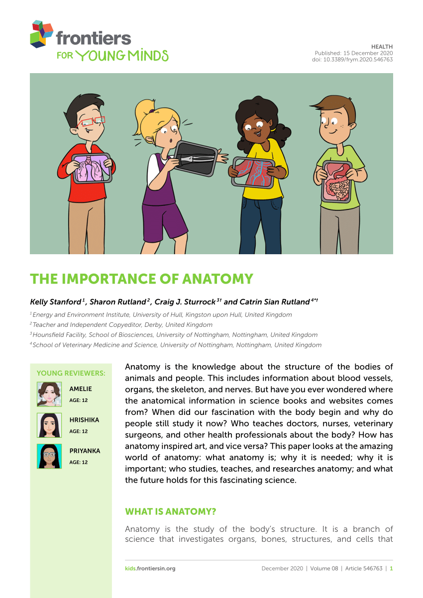 PDF) The Importance of Anatomy