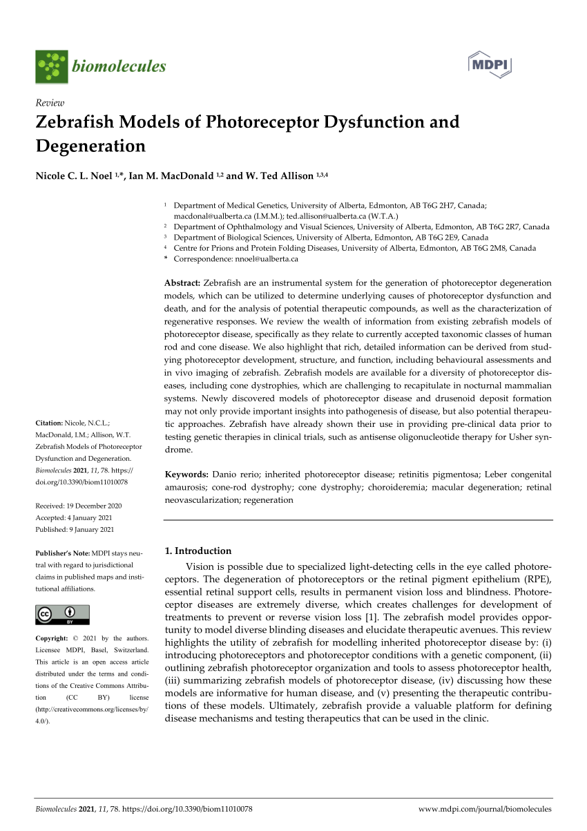 Pdf Zebrafish Models Of Photoreceptor Dysfunction And Degeneration