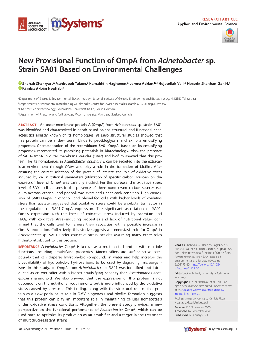 PDF) New Provisional Function of OmpA from Acinetobacter sp ...