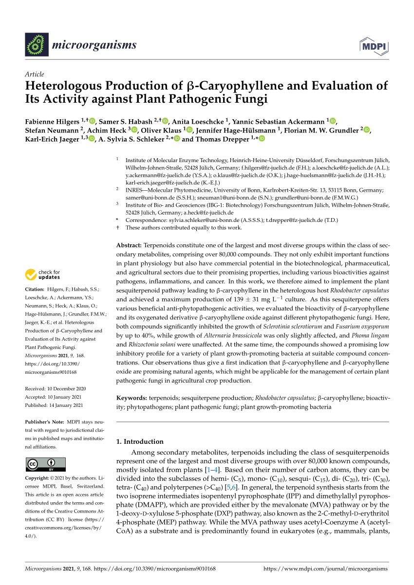 Pdf Heterologous Production Of B Caryophyllene And Evaluation Of Its Activity Against Plant Pathogenic Fungi