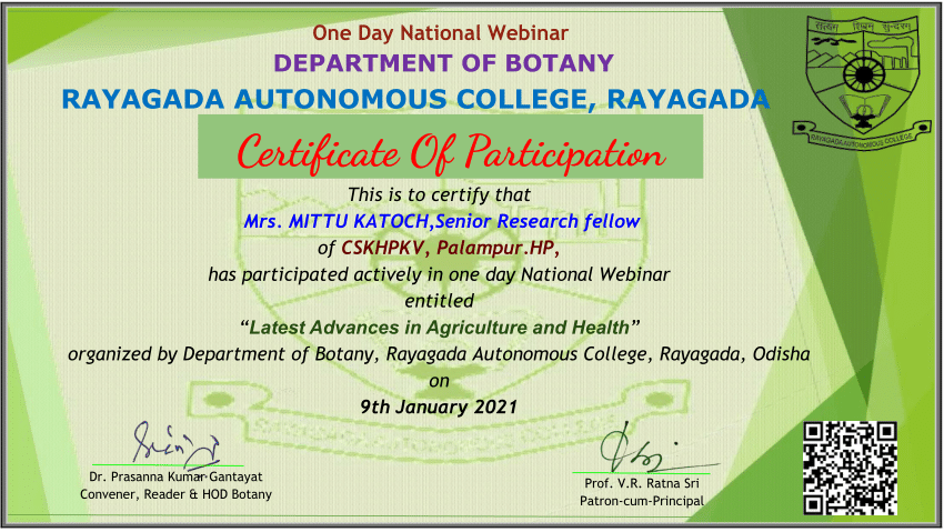 Pdf One Day National Webinar Certificate Of Participation 2906