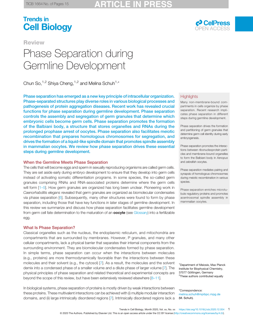 (PDF) Phase Separation during Germline Development