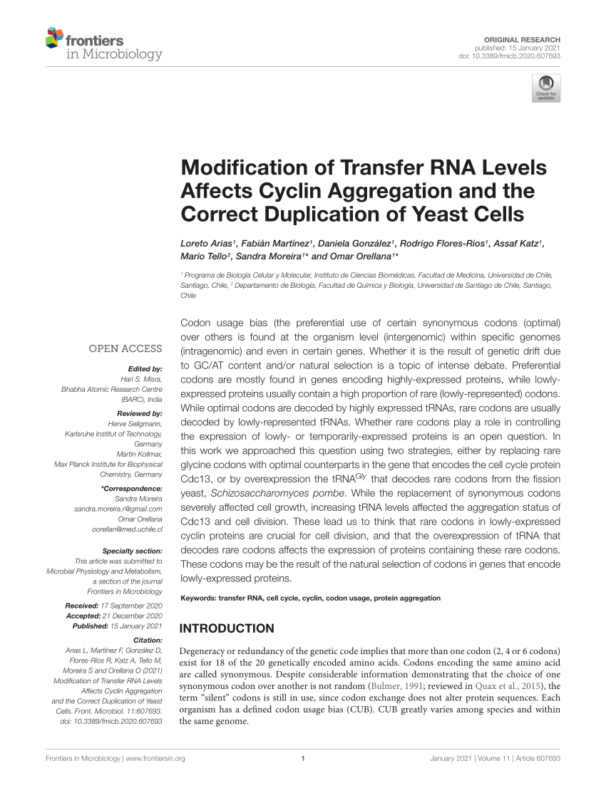 PDF) Modification of Transfer RNA Levels Affects Cyclin ...