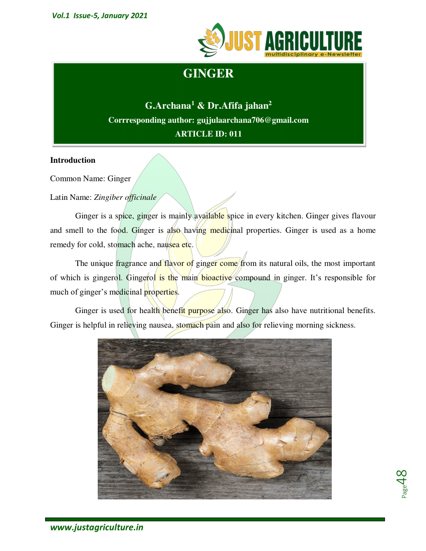 literature review of ginger pdf