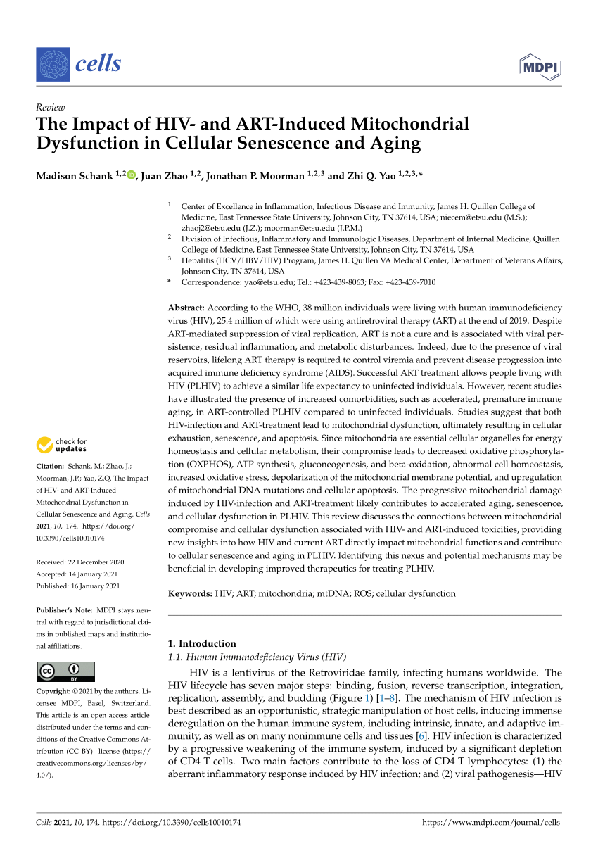 Pdf The Impact Of Hiv And Art Induced Mitochondrial Dysfunction In Cellular Senescence And Aging