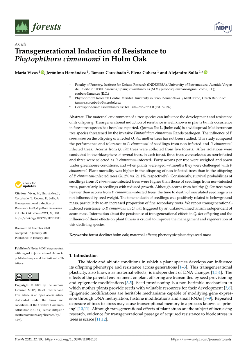 Pdf Transgenerational Induction Of Resistance To Phytophthora Cinnamomi In Holm Oak