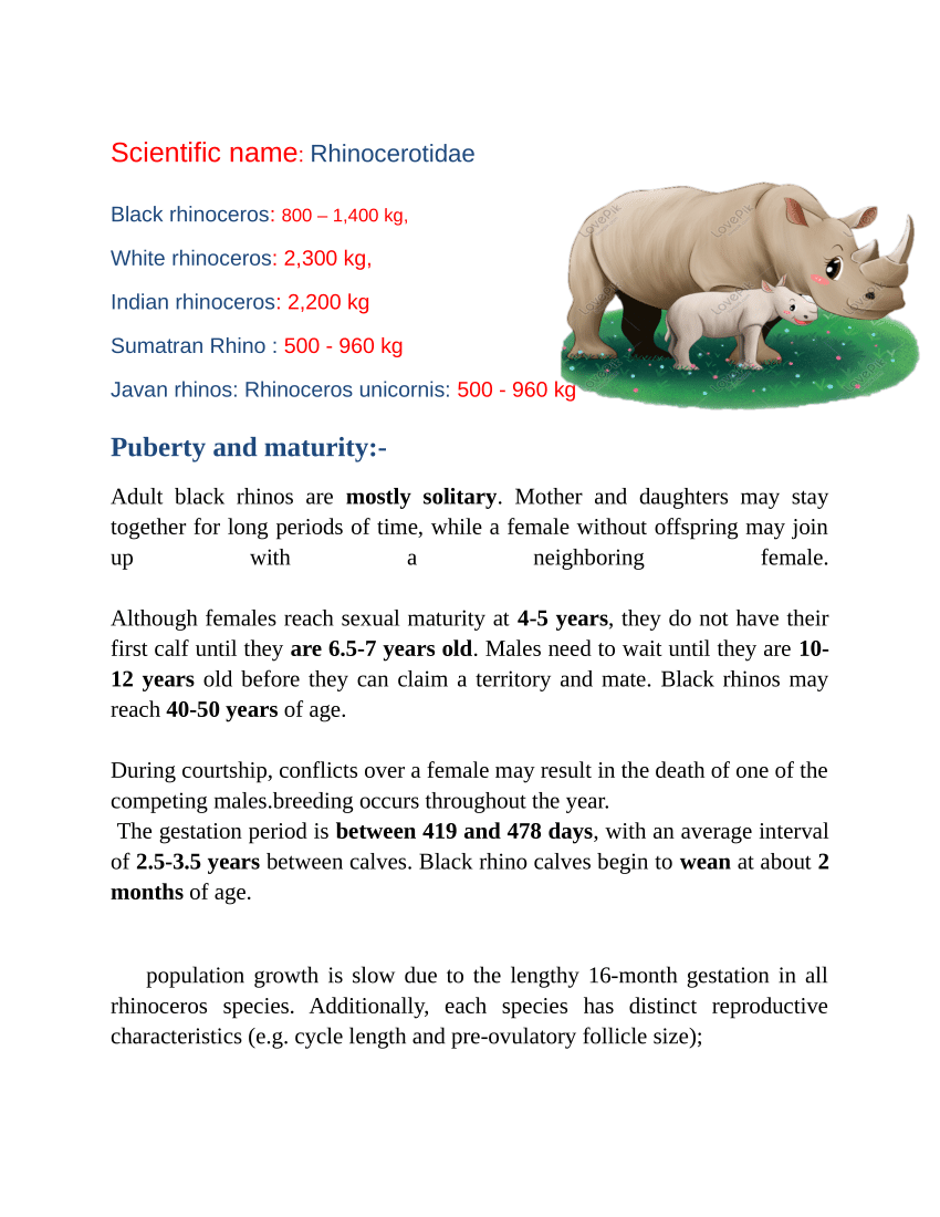 rhinoceros 5 slow