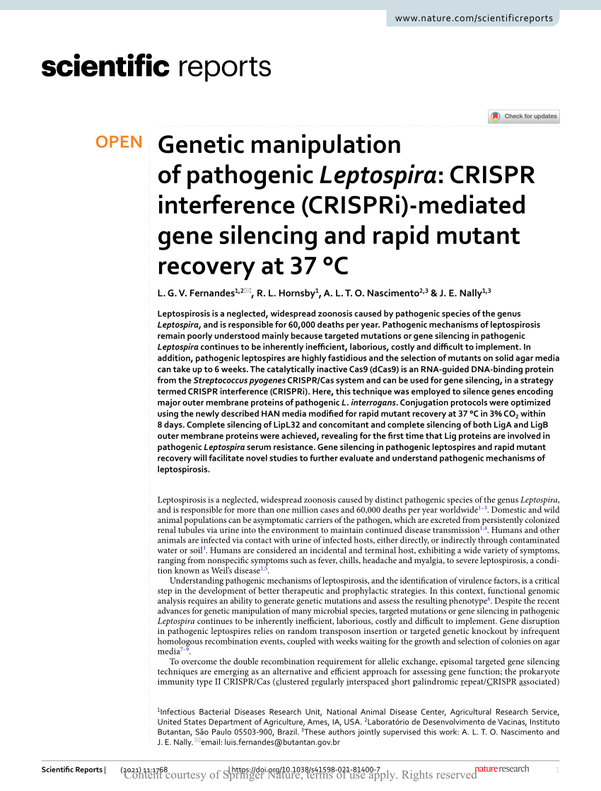 Pdf Genetic Manipulation Of Pathogenic Leptospira Crispr Interference Crispri Mediated Gene Silencing And Rapid Mutant Recovery At 37 C
