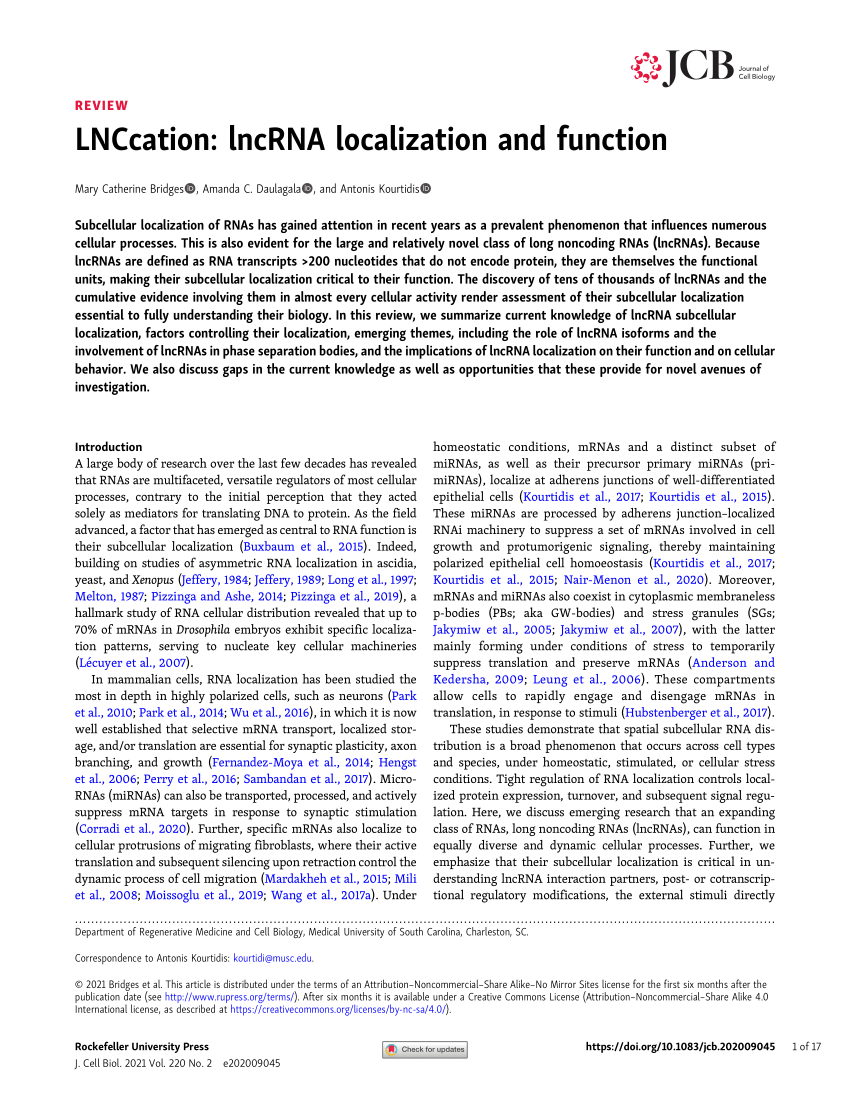 PDF) LNCcation: lncRNA localization and function
