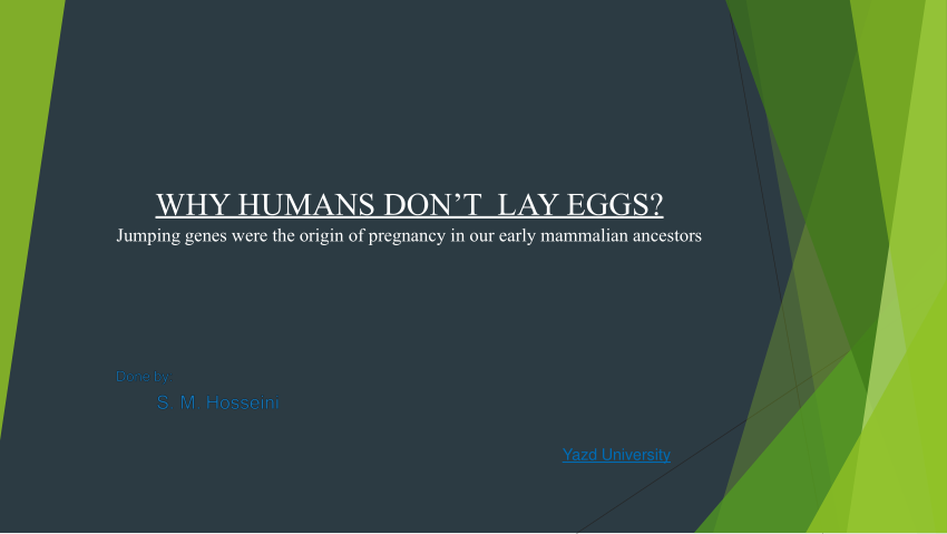 (PDF) WHY HUMANS DON'T LAY EGGS? Jumping genes were the origin of