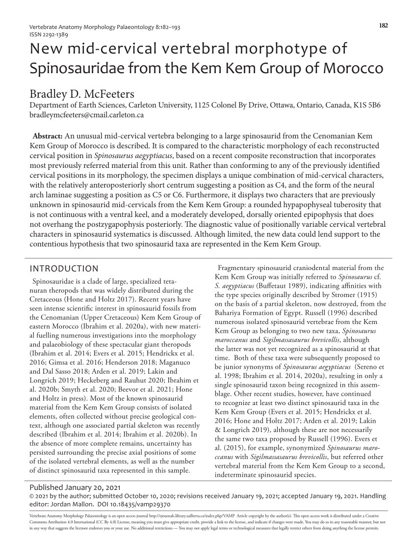 (PDF) New mid-cervical vertebral morphotype of Spinosauridae from the