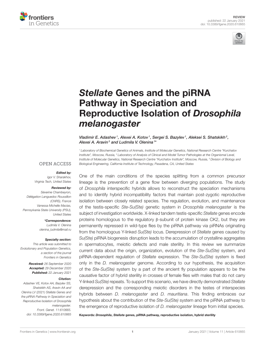 Pdf Stellate Genes And The Pirna Pathway In Speciation And Reproductive Isolation Of