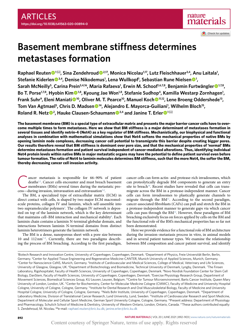 Basement membrane stiffness determines metastases formation