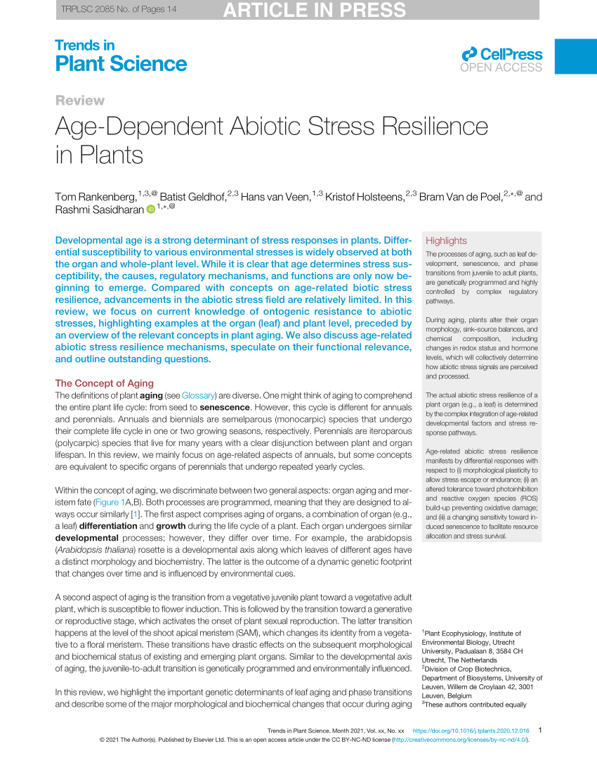 Frontiers  The potential of SiK® fertilization in the resilience