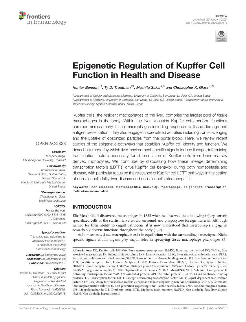 Pdf Epigenetic Regulation Of Kupffer Cell Function In Health And Disease