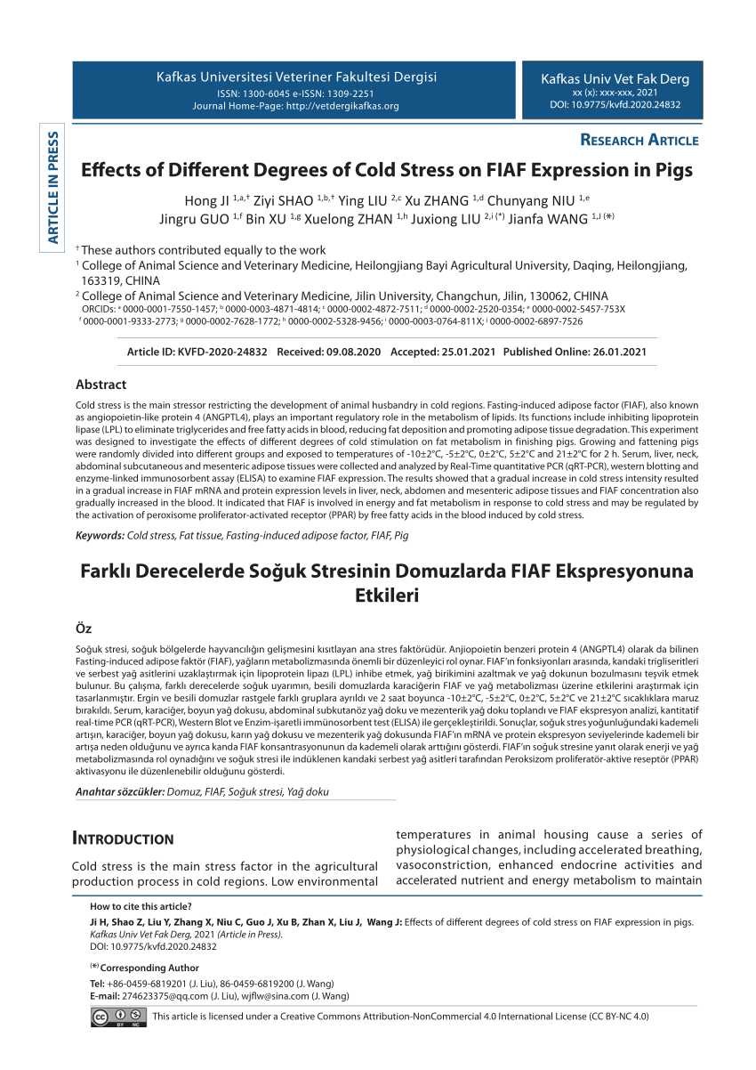 Pdf Farkli Derecelerde Soguk Stresinin Domuzlarda Fiaf Ekspresyonuna Etkileri