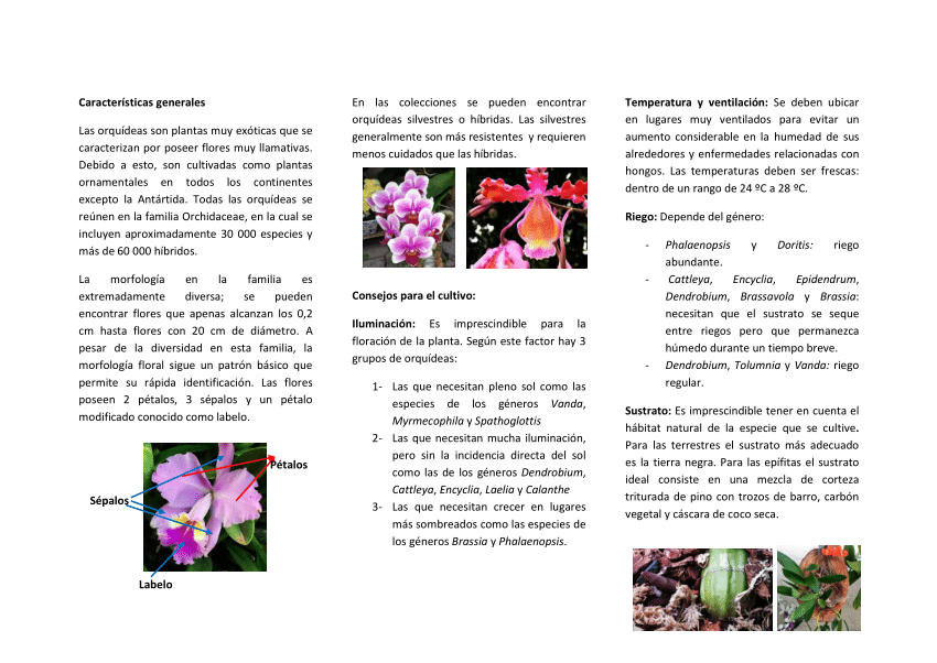 PDF) features for culture and crop