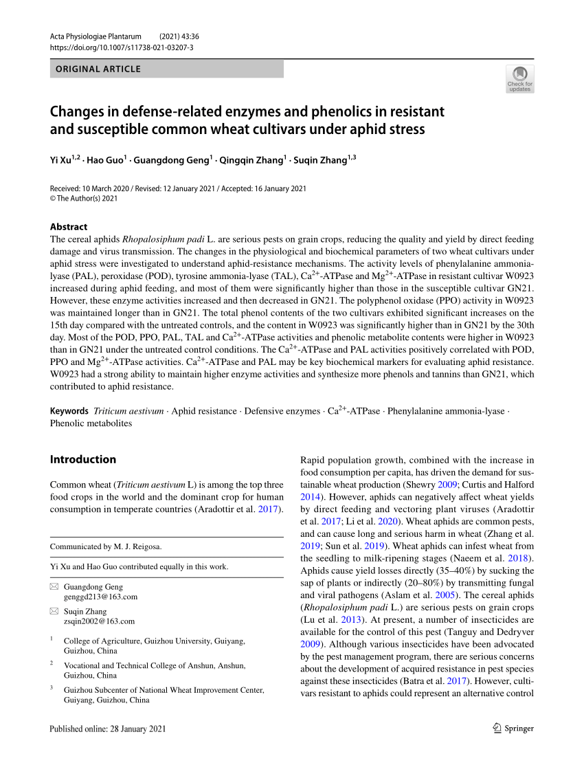 C-SEN-2205 Prüfungsaufgaben