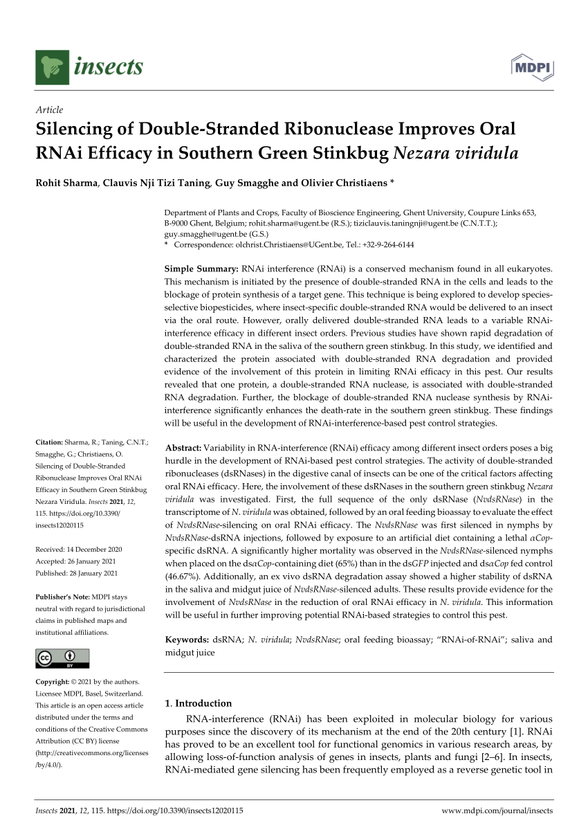 Pdf Silencing Of Double Stranded Ribonuclease Improves Oral Rnai Efficacy In Southern Green Stinkbug Nezara Viridula
