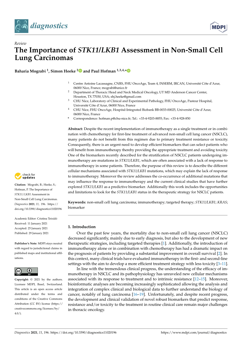 Pdf The Importance Of Stk11 Lkb1 Assessment In Non Small Cell Lung Carcinomas