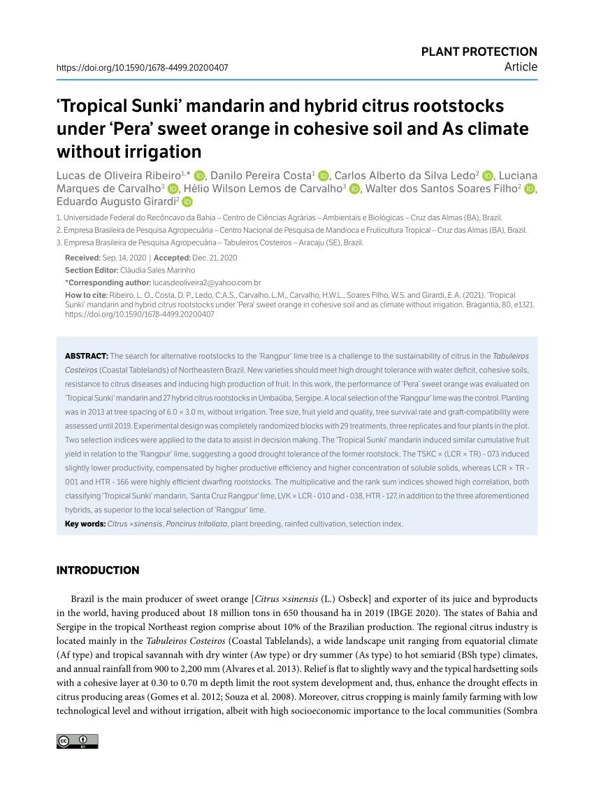 PDF) 'Tropical Sunki' mandarin and hybrid citrus rootstocks under