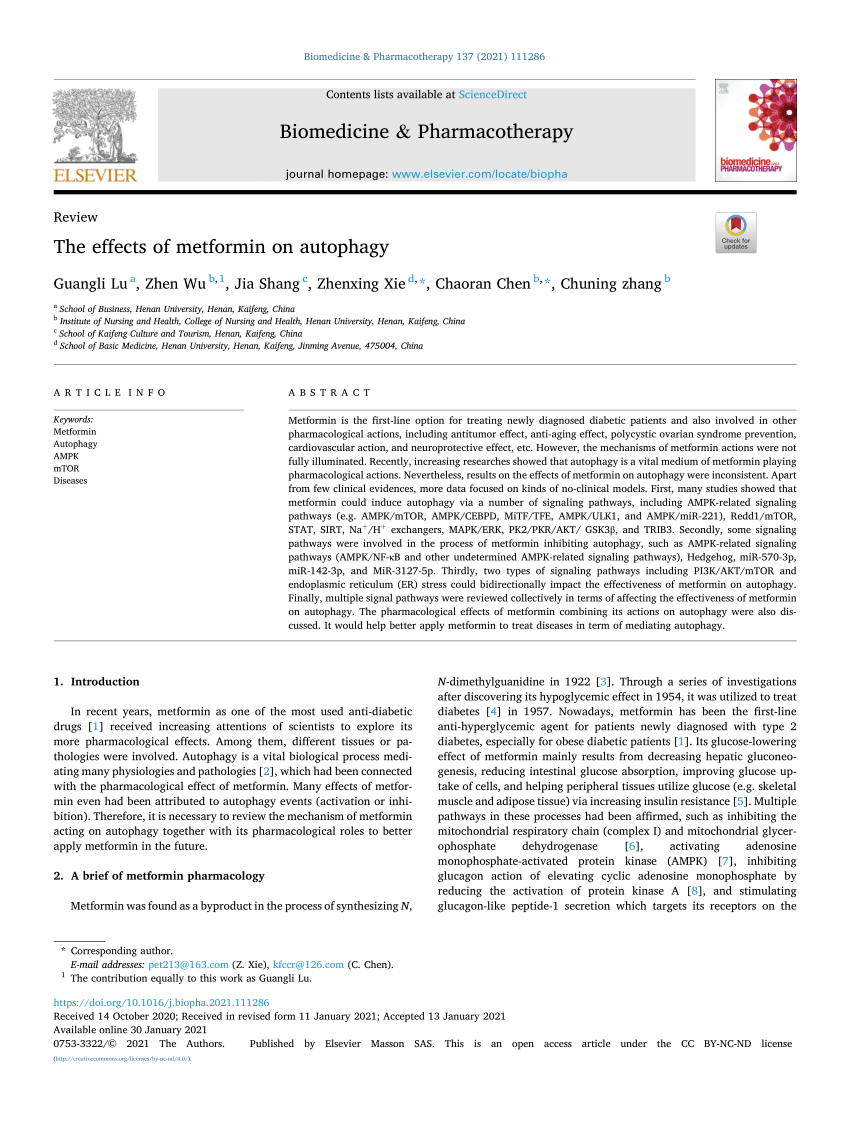 PDF) The effects of metformin on autophagy