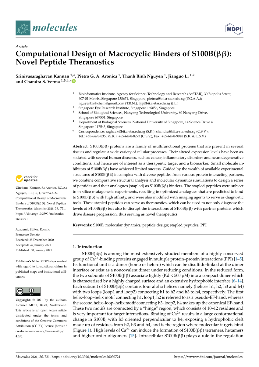 PDF) Computational Design of Macrocyclic Binders of S100B(ββ
