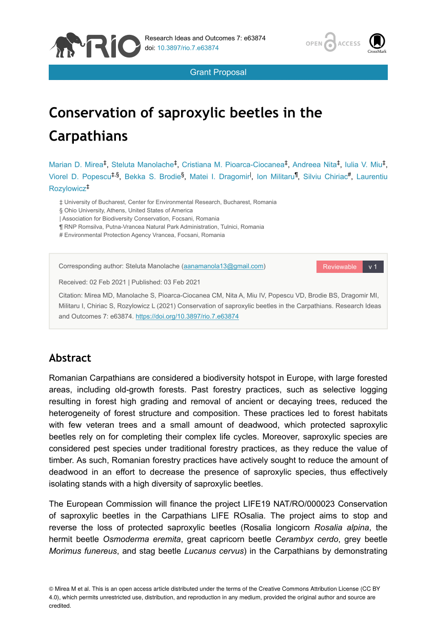 PDF Conservation of saproxylic beetles in the Carpathians