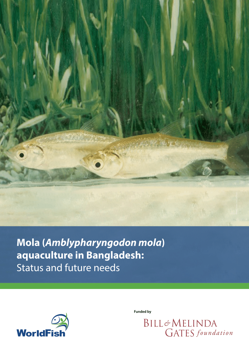 PDF) Mola (Amblypharyngodon mola) aquaculture in Bangladesh: Status and  future needs