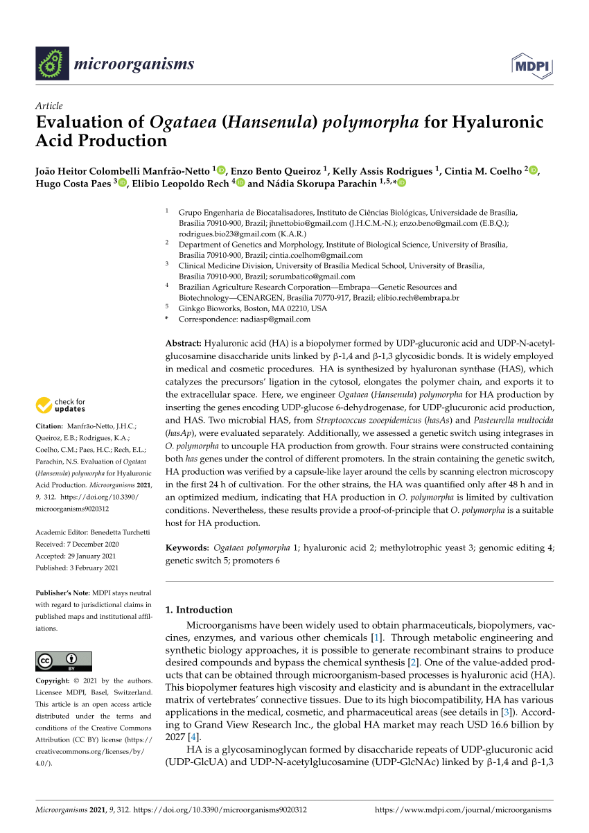 Pdf Evaluation Of Ogataea Hansenula Polymorpha For Hyaluronic Acid Production