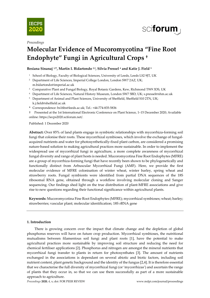 Molecular evidence suggests that fungi