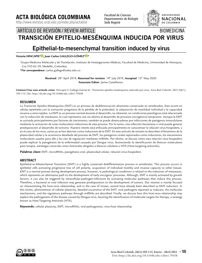 PDF) TRANSICIÓN EPITELIO-MESÉNQUIMA INDUCIDA POR VIRUS