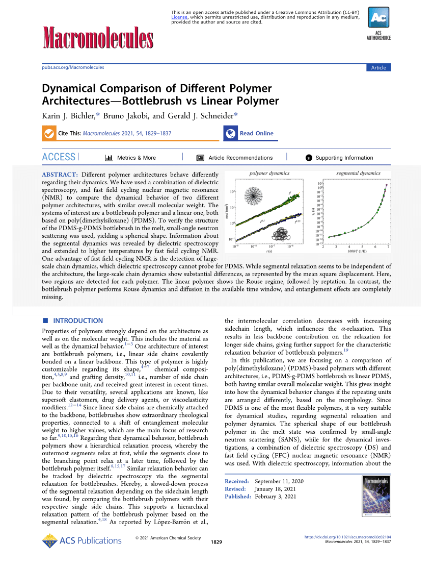 Pdf Dynamical Comparison Of Different Polymer Architectures Bottlebrush Vs Linear Polymer