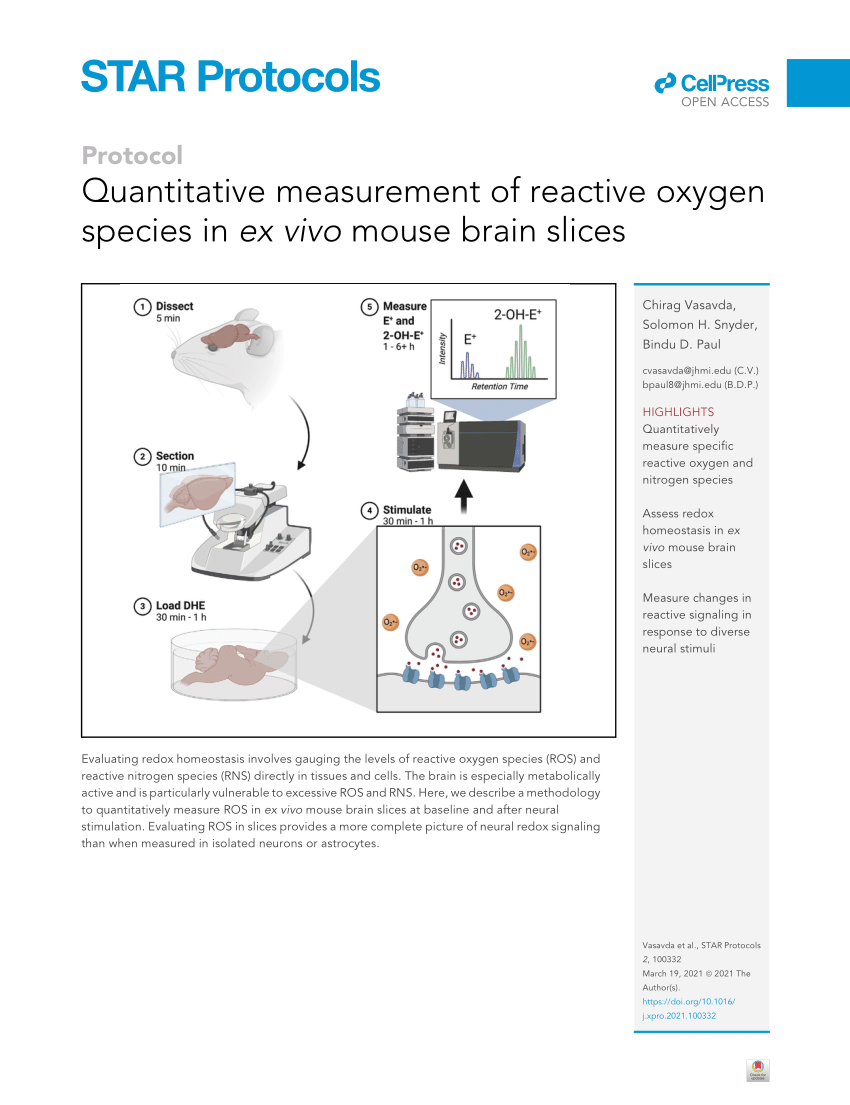 Pdf Quantitative Measurement Of Reactive Oxygen Species In Ex Vivo Mouse Brain Slices