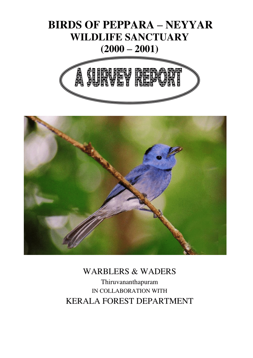 PDF) BIRDS OF PEPPARA -NEYYAR WILDLIFE SANCTUARY (2000 -2001) WARBLERS &  WADERS Thiruvananthapuram IN COLLABORATION WITH KERALA FOREST DEPARTMENT
