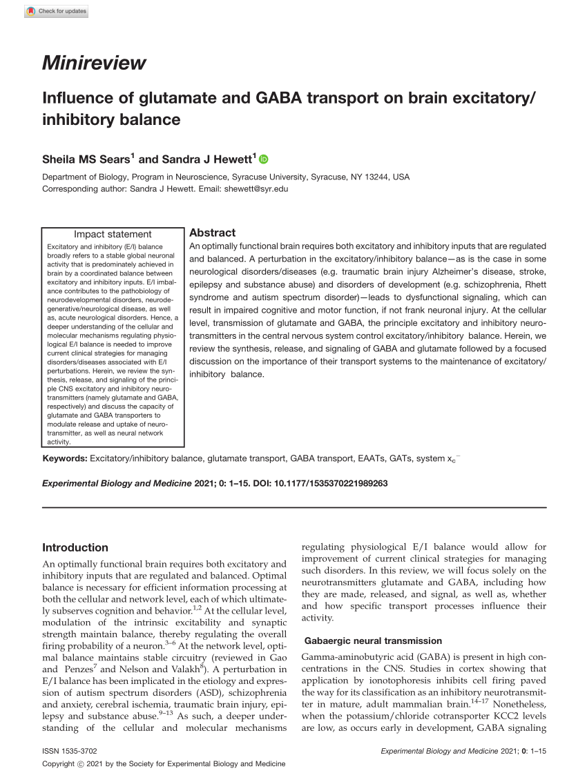 PDF) Influence of glutamate and GABA transport on brain excitatory 