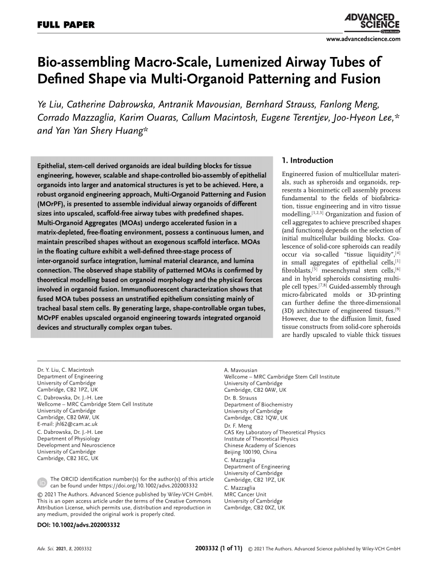 https://i1.rgstatic.net/publication/349165802_Bio-assembling_Macro-Scale_Lumenized_Airway_Tubes_of_Defined_Shape_via_Multi-Organoid_Patterning_and_Fusion/links/60936ec2299bf1ad8d7d93fe/largepreview.png