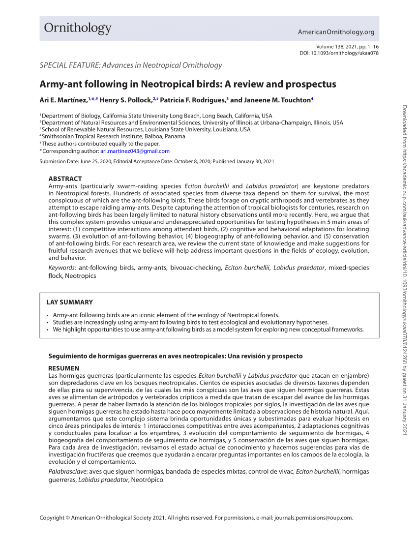 PDF) Army-ant following in Neotropical birds: A review and prospectus