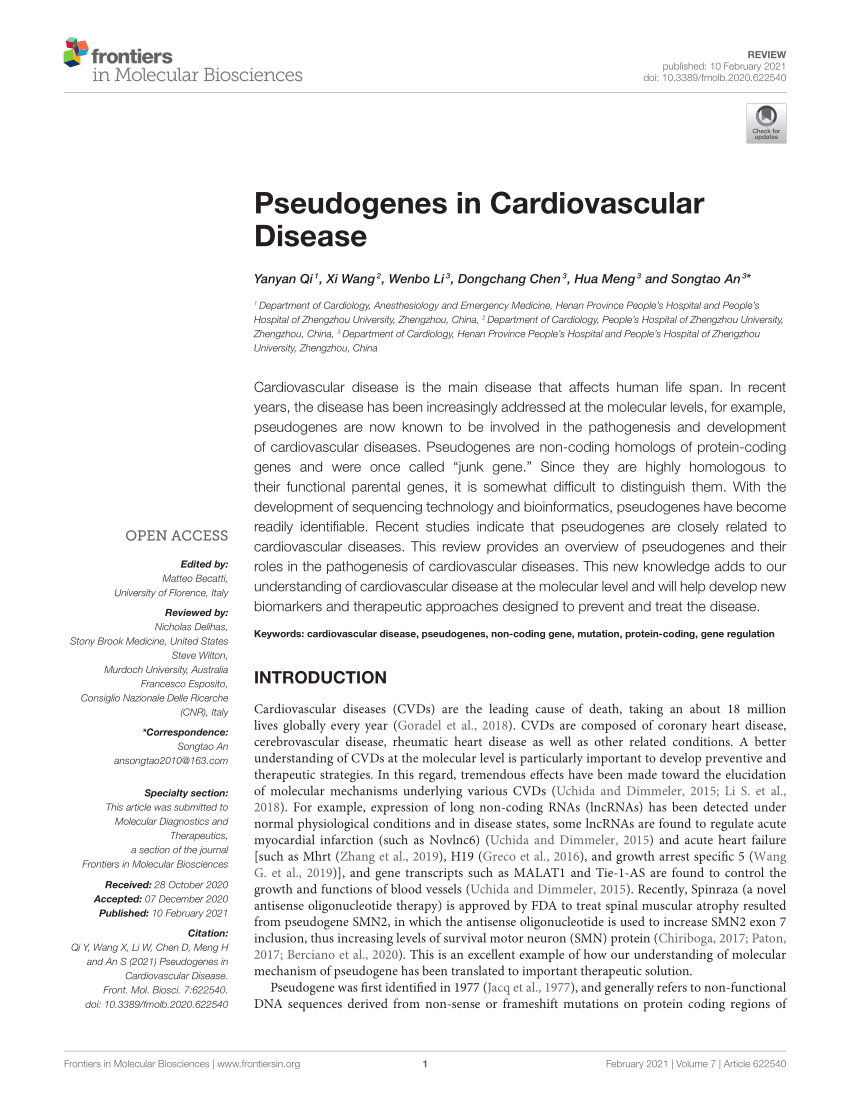 Pdf Pseudogenes In Cardiovascular Disease